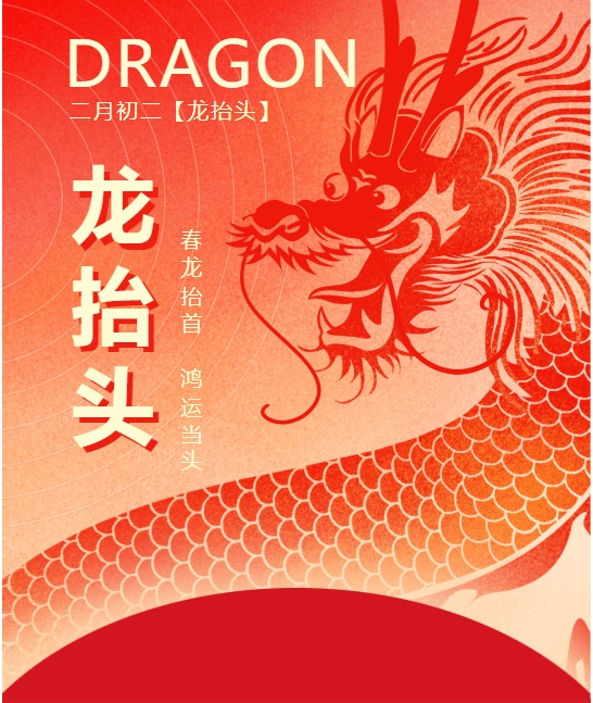 二月二龍?zhí)ь^，春龍振翅鴻運(yùn)啟 —— 佳木斯網(wǎng)云信息科技有限公司與您共迎新春盛景